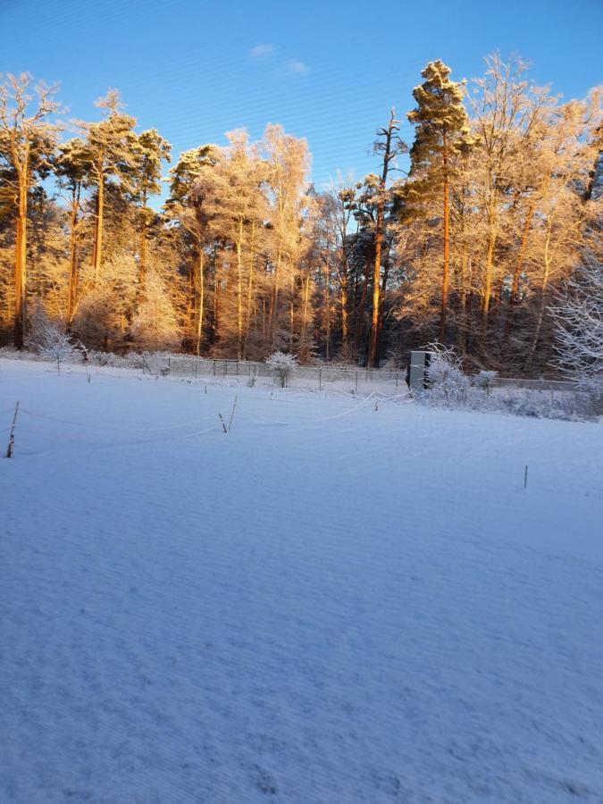 Kuestenliebe 8 Graal-Mueritz Luaran gambar